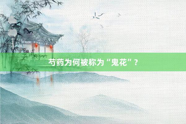 芍药为何被称为“鬼花”？