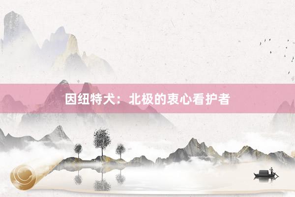 因纽特犬：北极的衷心看护者