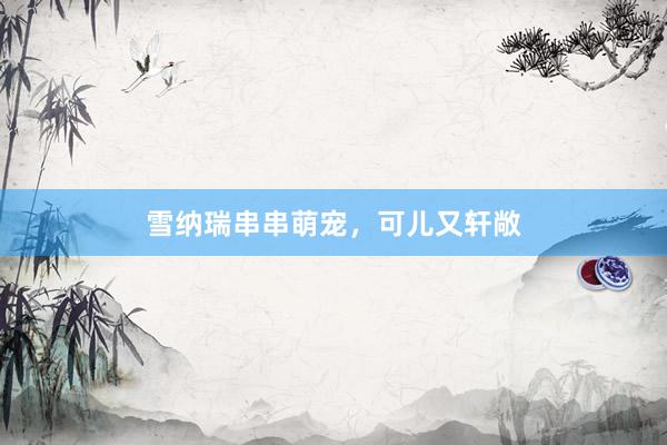 雪纳瑞串串萌宠，可儿又轩敞