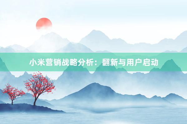 小米营销战略分析：翻新与用户启动